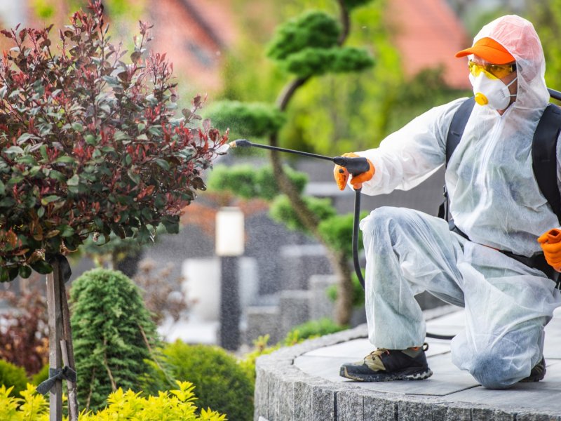 Kızılcahamam Haşere İlaçlama